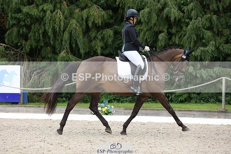 230812-143528-04449 - Cls 5 Novice Bronze 13.40 to 14.45 break