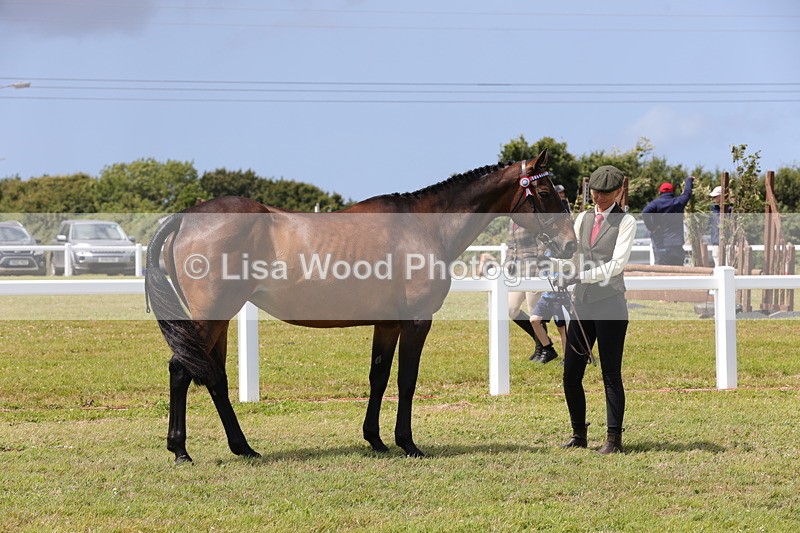 1X9A4891 - Class 35: Veteran In Hand