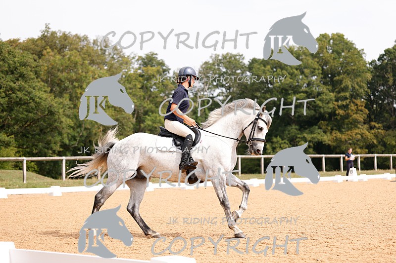 _R6A2783 - Dressage Morning