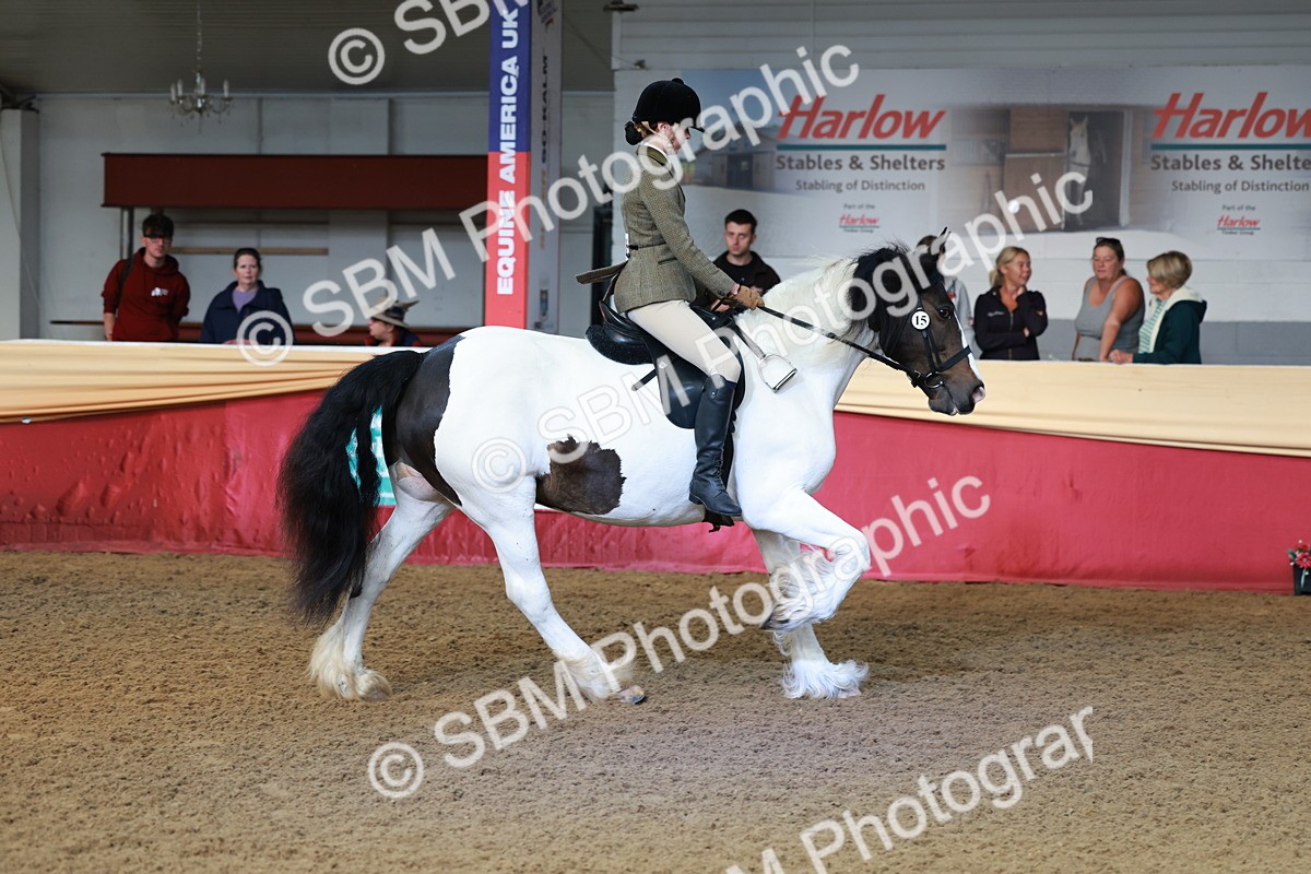 SBM_11958 - Class 102 - Equitation (Best Rider) Adult