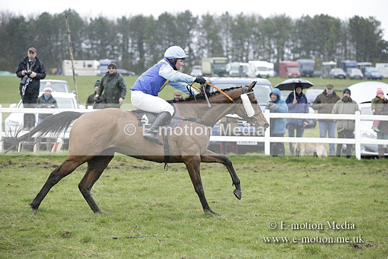 PtP 150320 0377 - New Forest Point-to-Point Larkhill 15/03/20