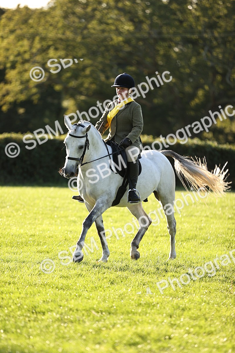 SBM_30111 - Novice & Newcomers Supreme Championship