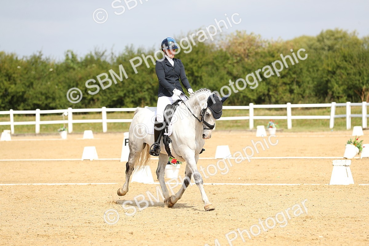 SBM_016408 - Class 13 - Novice 23 - 11.25-12.35