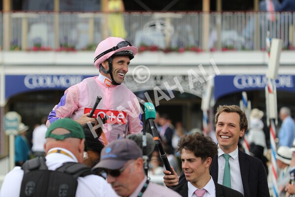 yr19082022r1-36 - Race 1 1.50pm Sky Bet Stakes