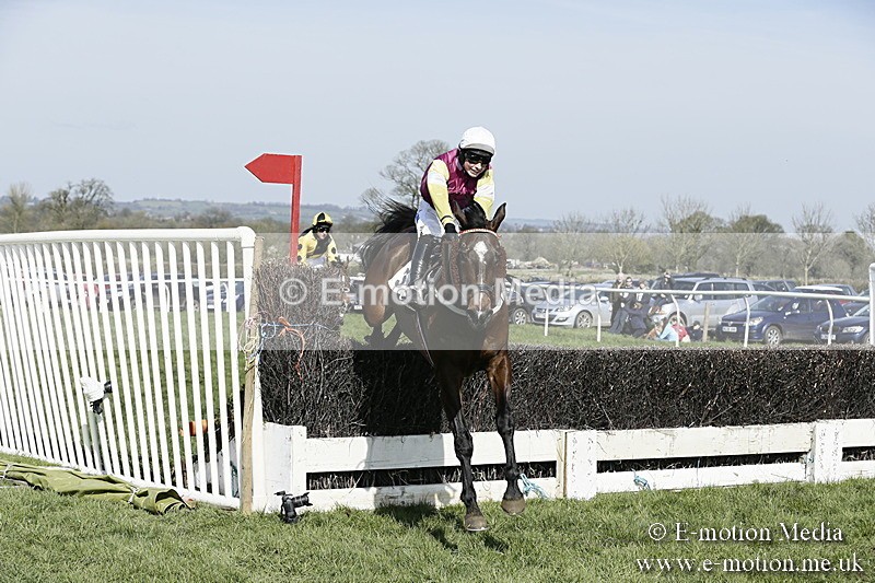 PtP 260317 130 - Mendip Farmers Point-to-Point Ston Easton 26/03/17