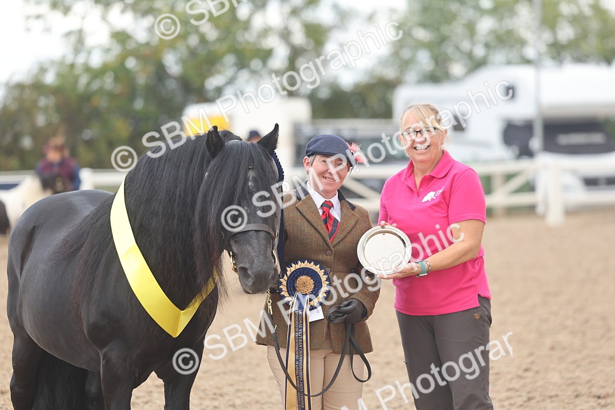 SBM_03293 - Class 16 - IH M&M Wildcard