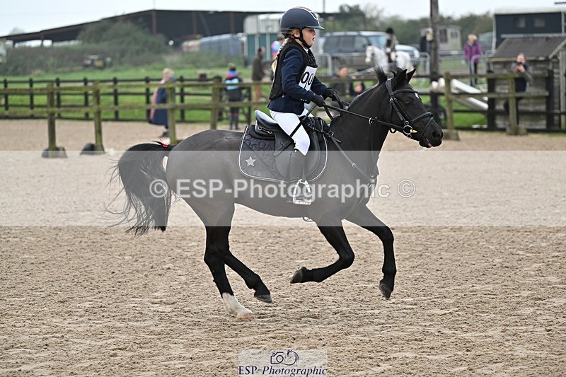 241110-101115-00209 - 40cm Showjumping