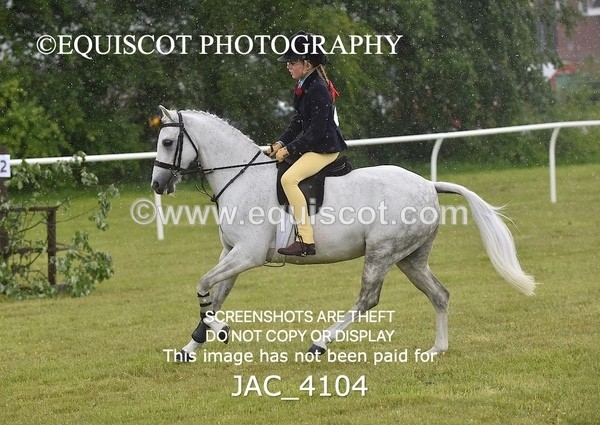 JAC_4104 - 40CM WORKING HUNTER