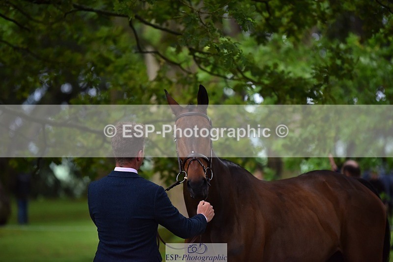 240522-165834-01294 - 272-PRIORSPARK_ROYAL_RIFF-RAFF-Jesse_Campbell