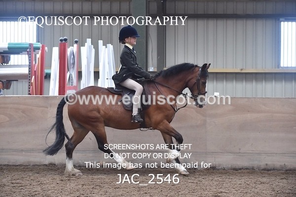 JAC_2546 - CLASS 3 Intermediate Working Hunter