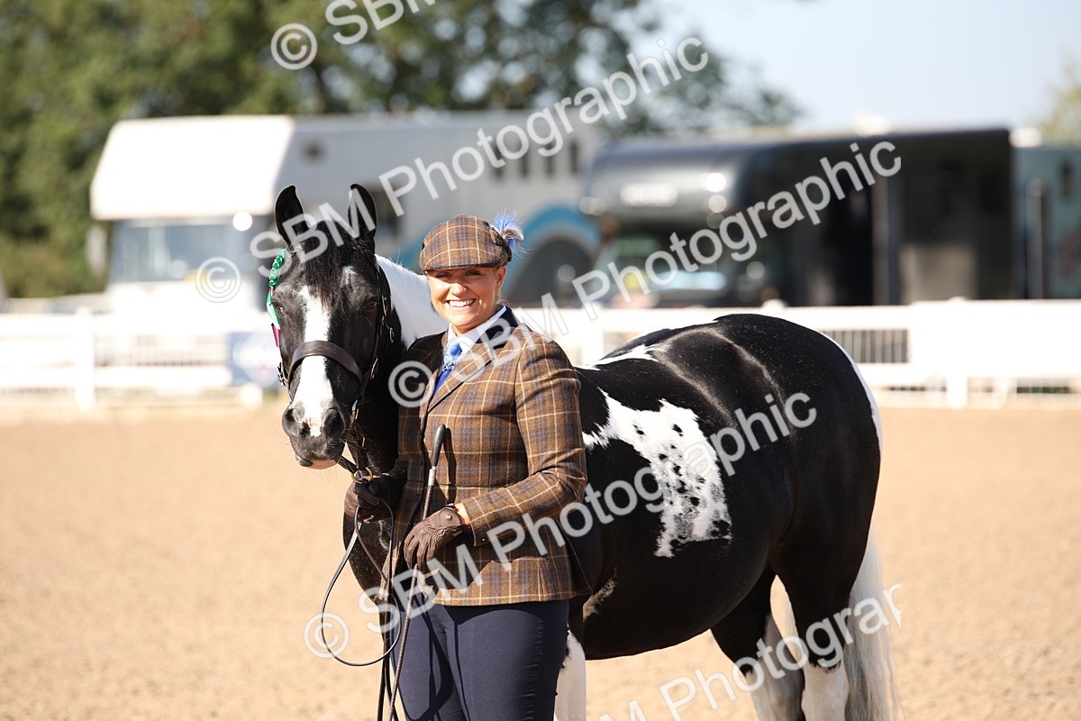 SBM_01572 - Class 15 IH Coloured