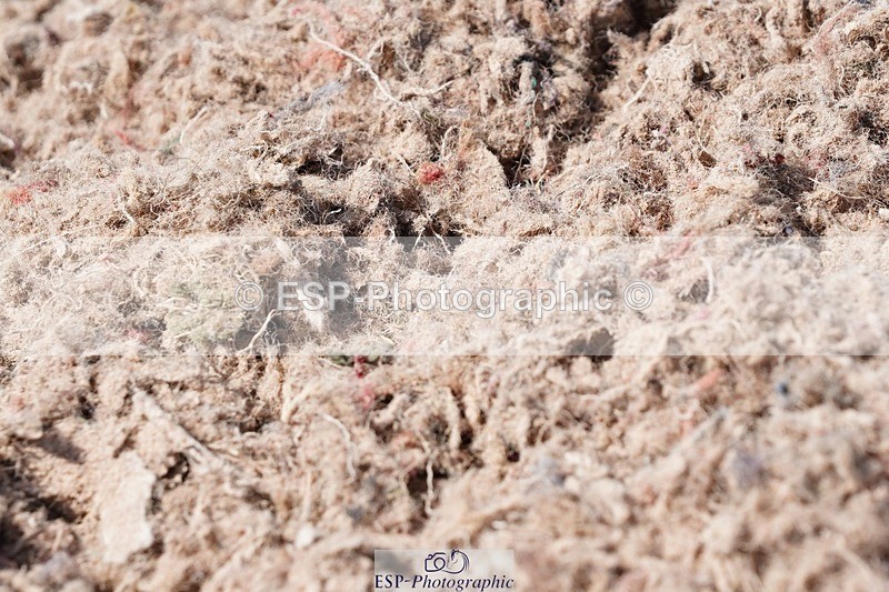 250503-133052-01142 - Cls 27 Stepping Stones