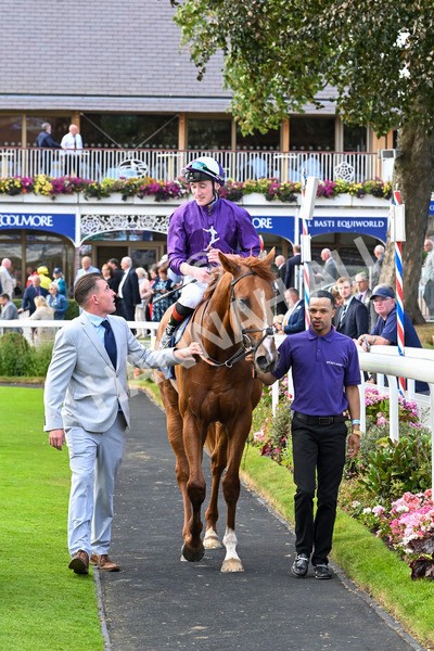 230824-Race 6-Angelo Buonarroti-0013 - Race 6 4.45pm British Stallion Studs EBF Convivial Maiden Stakes
