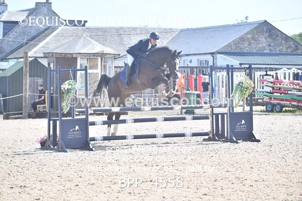BPP_4558 - CLASS 3 Senior British Novice/ 90cm Open