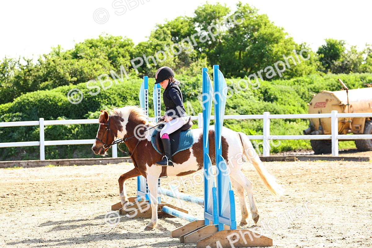 SBM_006669 - Class 2 - 50cm