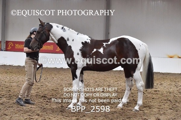 BPP_2598 - LOOSE JUMPING / SPSS