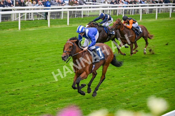 101025-Race 3-Mukhtalif-6432 - Race 3 William Hill Each Way Extra Handicap at York
