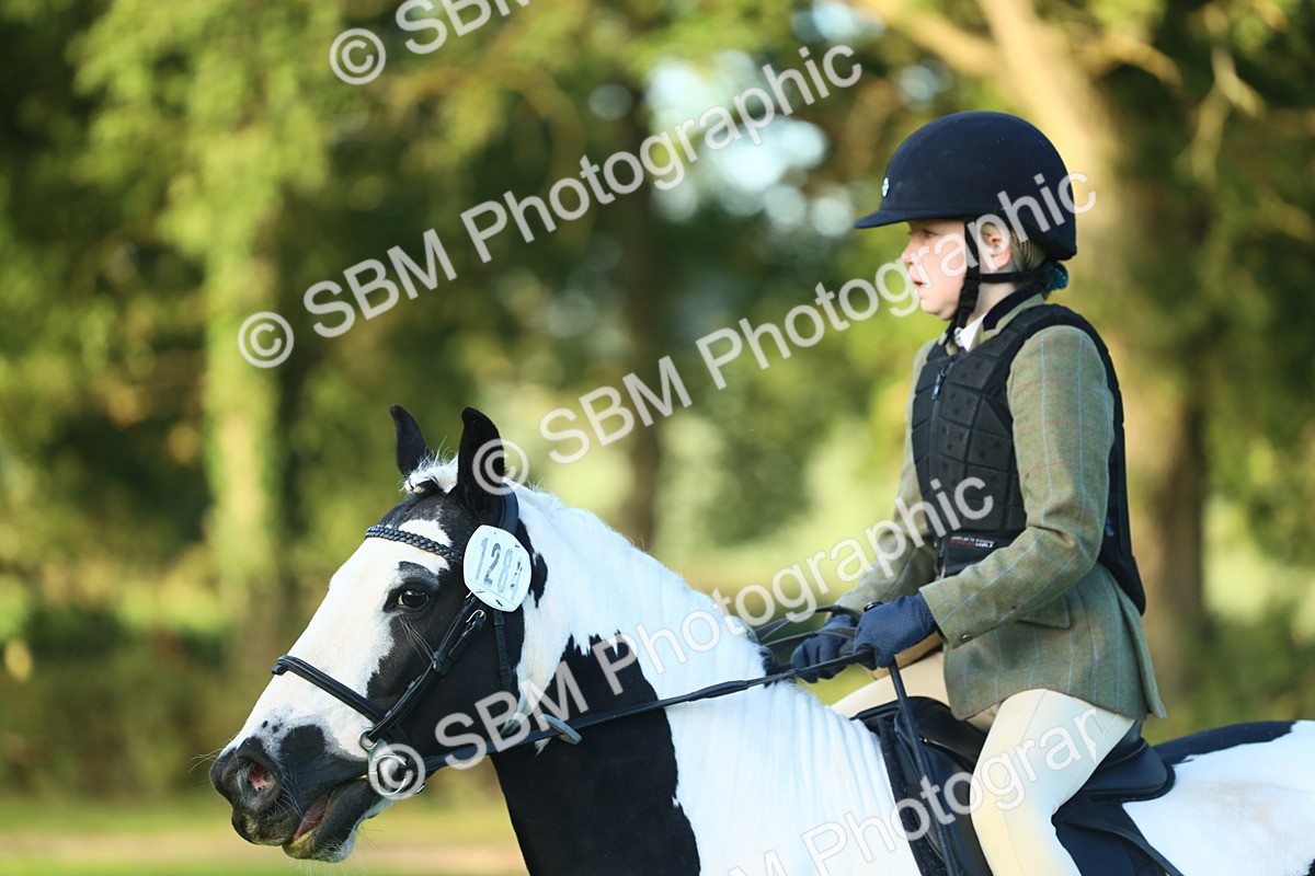 SBM_31743 - S28 - Nursery Stakes Working Hunter Pony