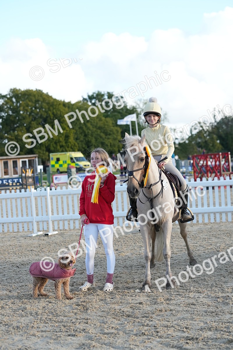 SBM_29504 - J44 - Horse & Hound Open 70cm