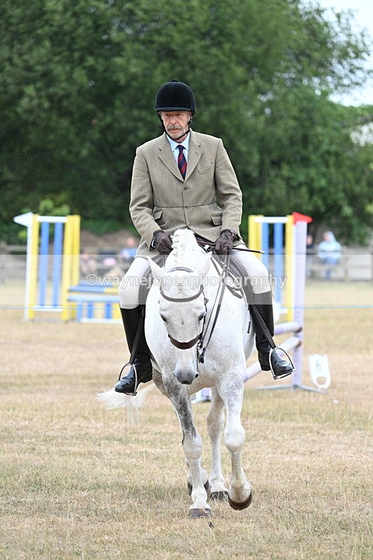 WJ7_0928 - Class 7 Riding Club Show Horse