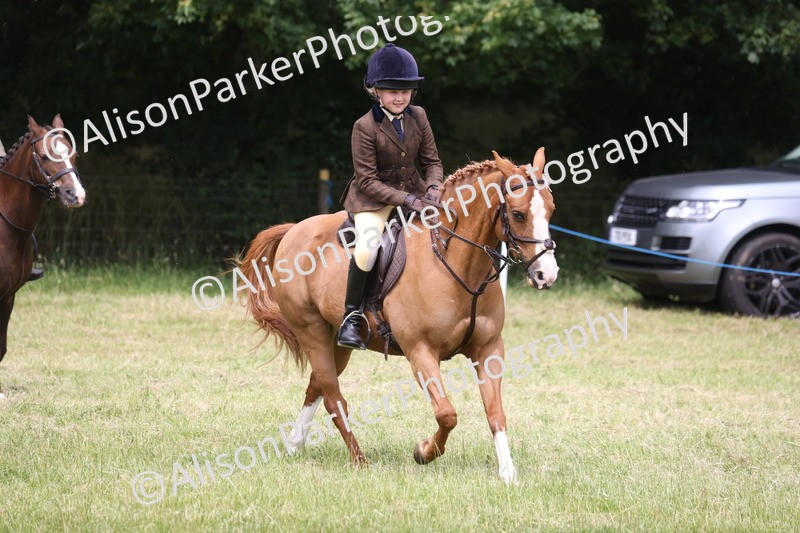 20260614-3225 - Class 22 - Open Working Hunter