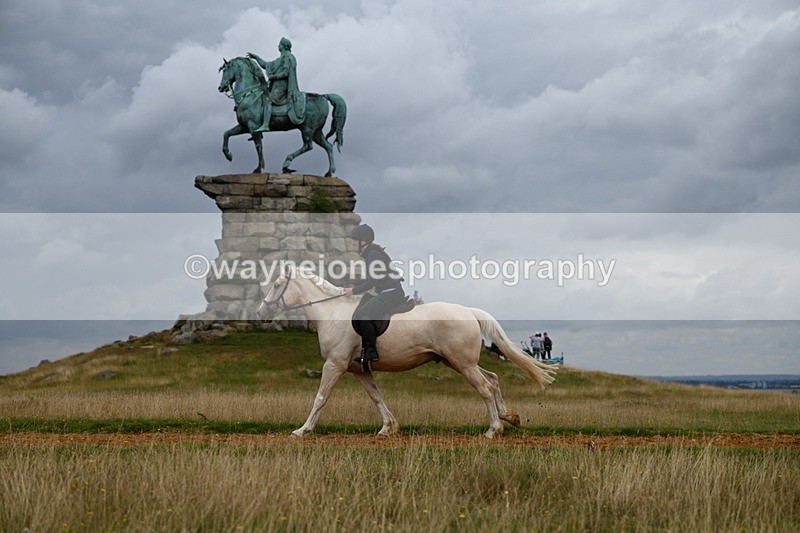 DSC_4973 - Time at Statue 11:10 to 11:42