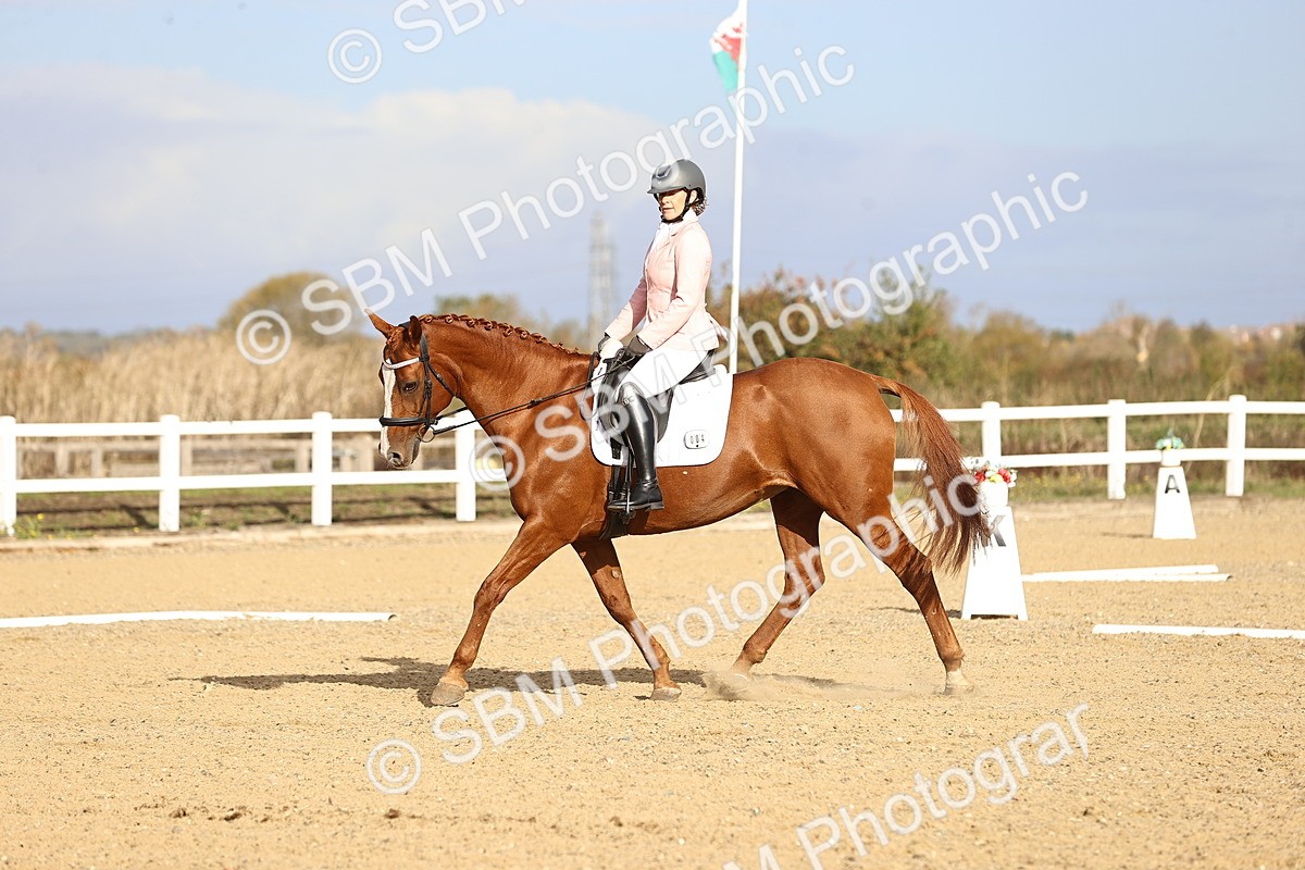 SBM_009145 - Class 2 - P5