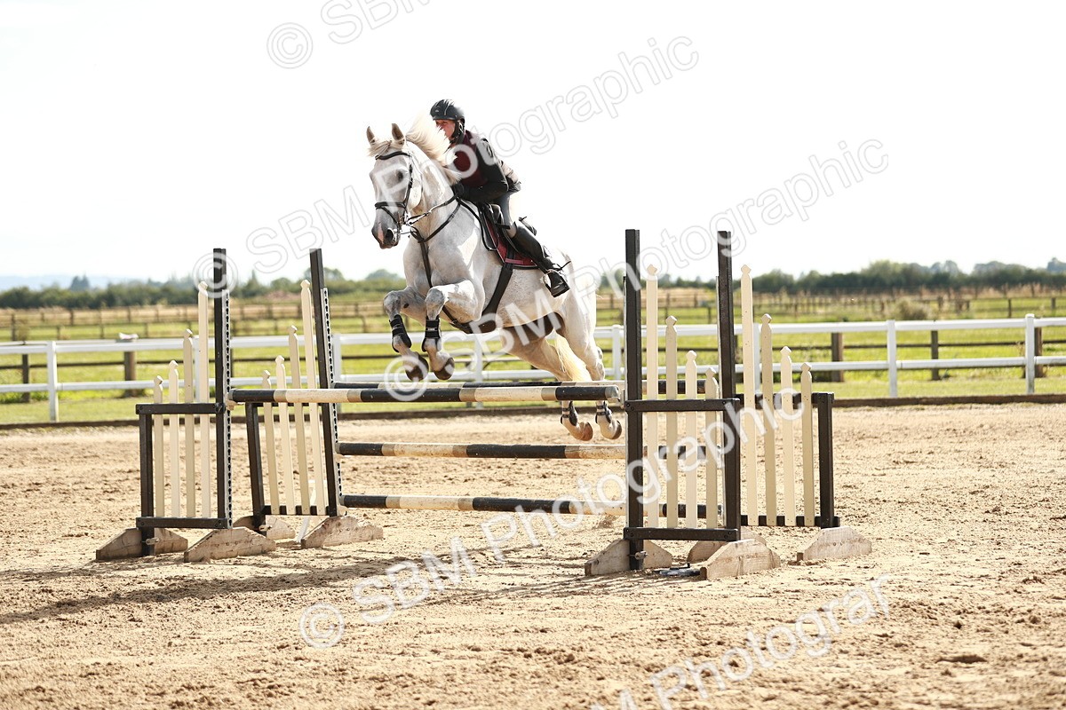 SBM_006905 - Class 5 - Senior Newcomers - 1.10m Open