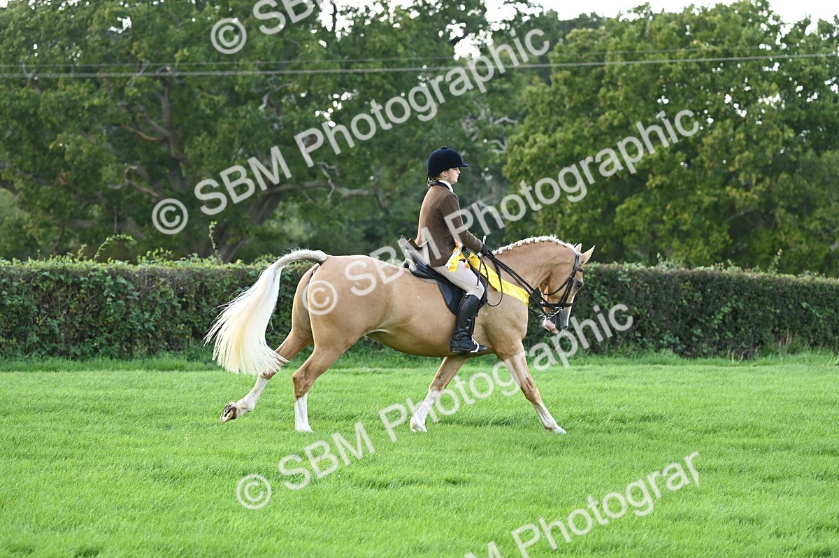 SBM_26514 - S6 - Novice & newcomer Ridden horse
