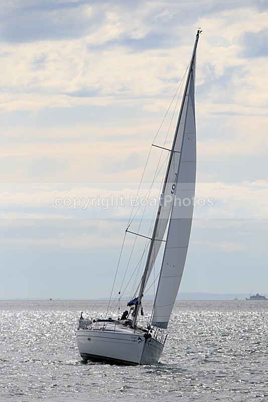 190729 SEA BADGER GBR9483T 1Y3A6690 - 190729 SEA BADGER GBR9483T