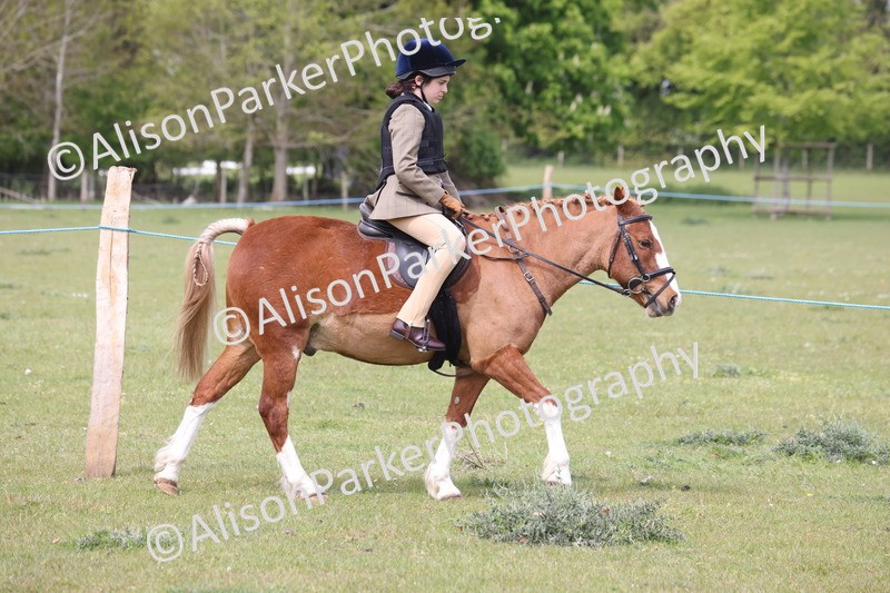 20260426-2886 - Class 33 - Best Pony 14.2hh and Under