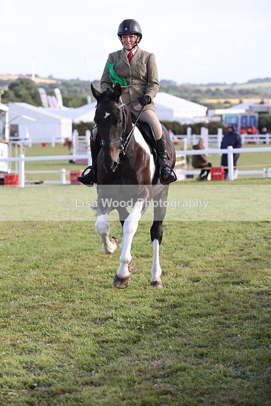 JPP_3596 - Class 22: Working Hunter 90cm