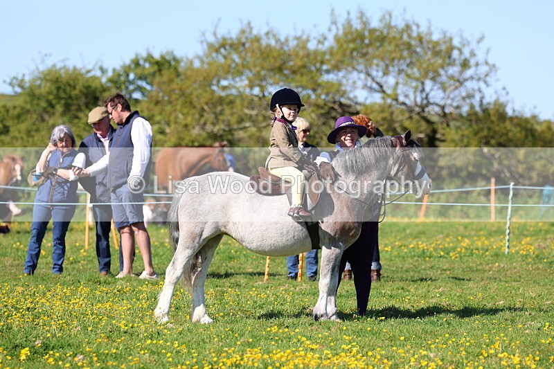 3E7A8894 - Class 2: Lead rein