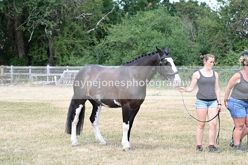 WJ7_1804 - Class 4a Prettiest Mare 14.2hh and over hand