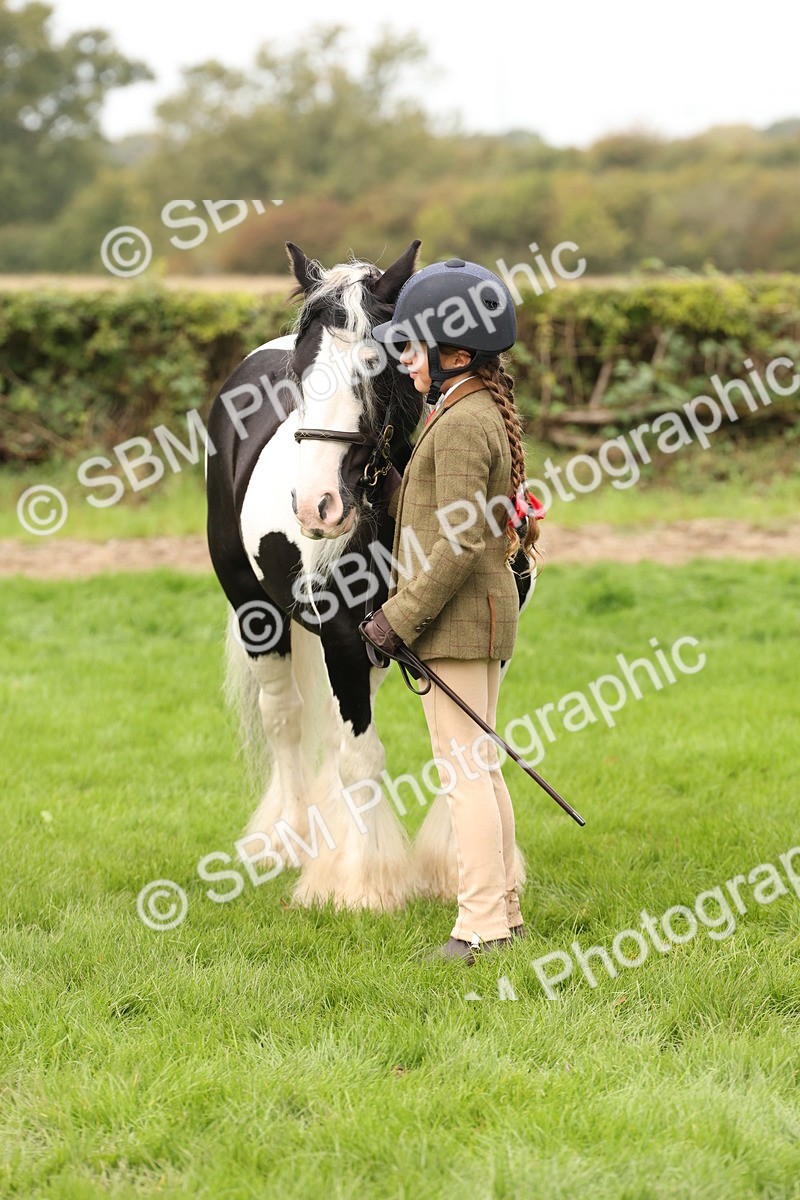 SBM_59345 - S57 - Traditional Cob In Hand