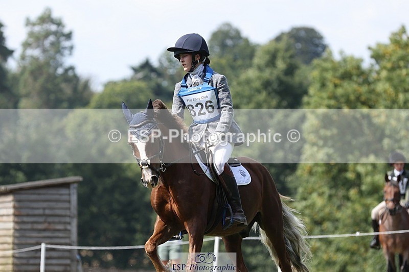 250823A-134341-31367 - Arena D