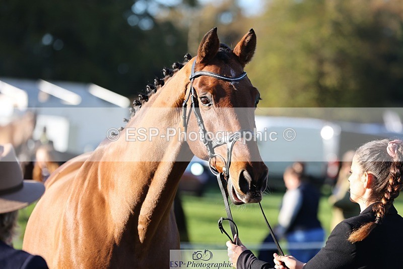 241027-085358-14882 - 301-Ilaria.Serra-DREAM.MACHINE