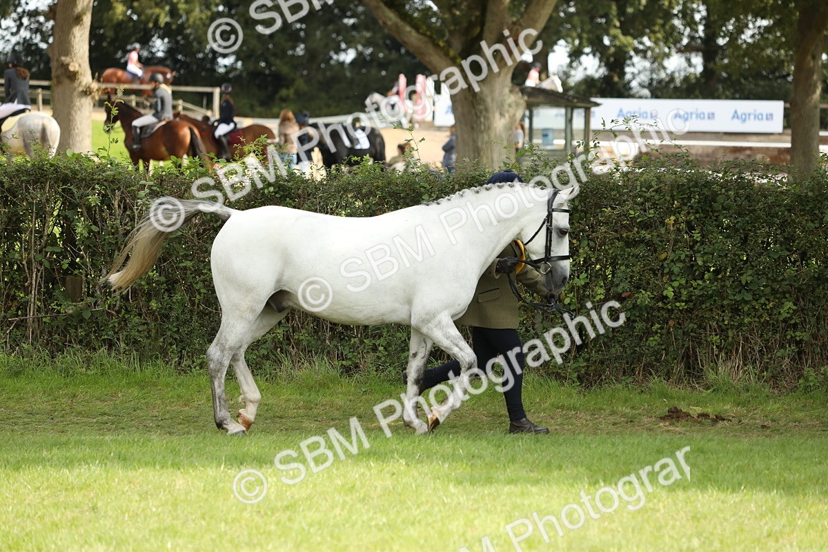 SBM_66285 - In Hand Pony & Youngstock Supreme Championship