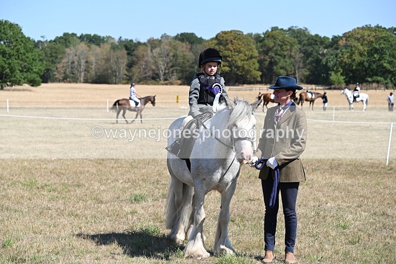 WJ6_8189 - Class 36 Lead Rein