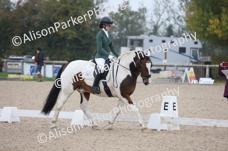 20251012-0586 - Class 5 - Elementary 5