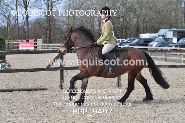 BPP_9497 - RING 2 - M&M