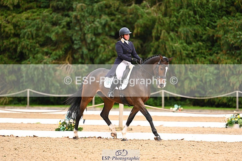 231020-164056-12347 - 317-THREEROCKS.PEGGY.BAWN-Harriet.Dickin-DR