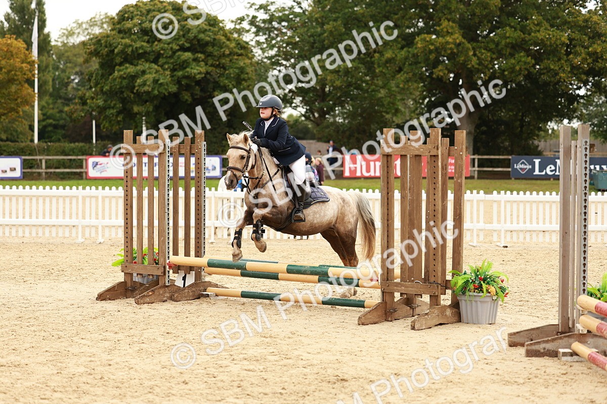 SBM_58004 - J11 - Junior Pony 50cm Championship
