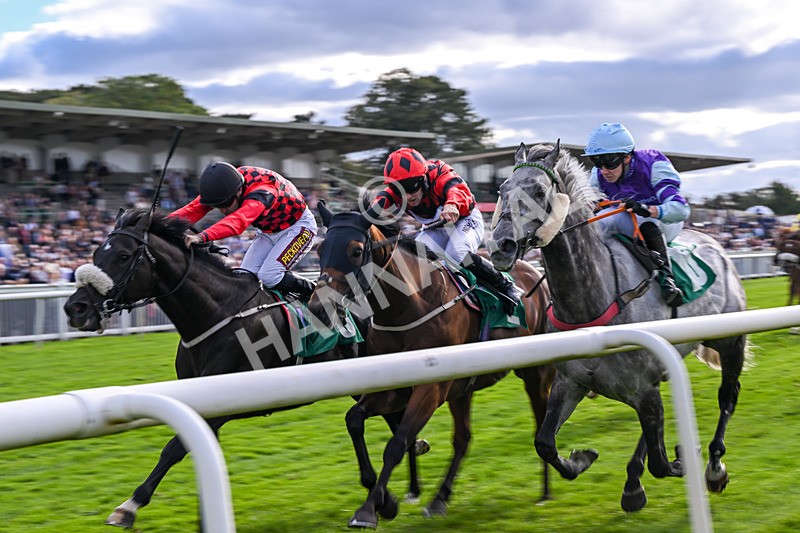 050926-Race 7-Andesite-5471 - Race 7 5pm Thirsk Racecourse Ideal Conference & Events Venue Handicap (Div I)