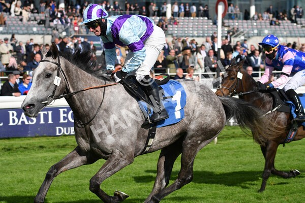 yr22052021r7-38 - Race 7 5.25pm Hudson Quarter York Palace Capital Stakes - Gentleman Amateur Riders Race