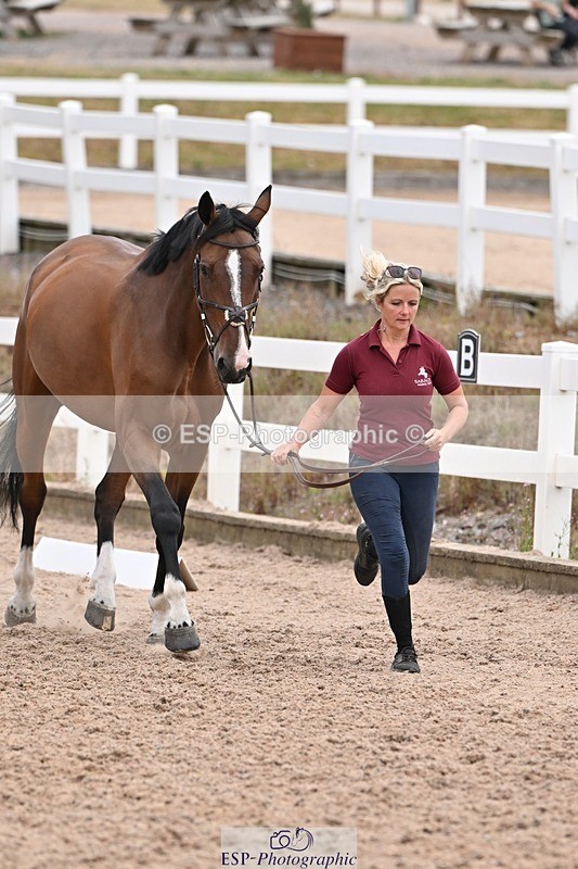 250716-143131-01165 - Trot Up 2.30 to 3.30