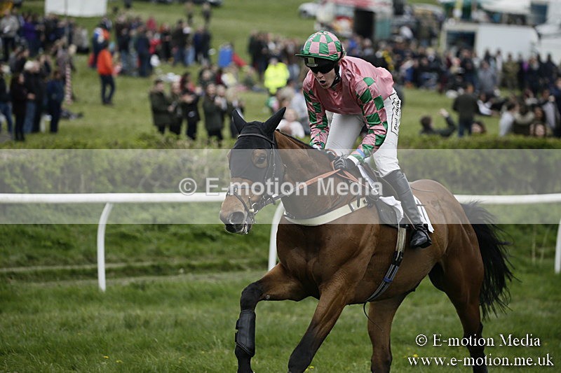 PtP 170417 569 - Old Berks Point-to-Point Lockinge 17/04/17