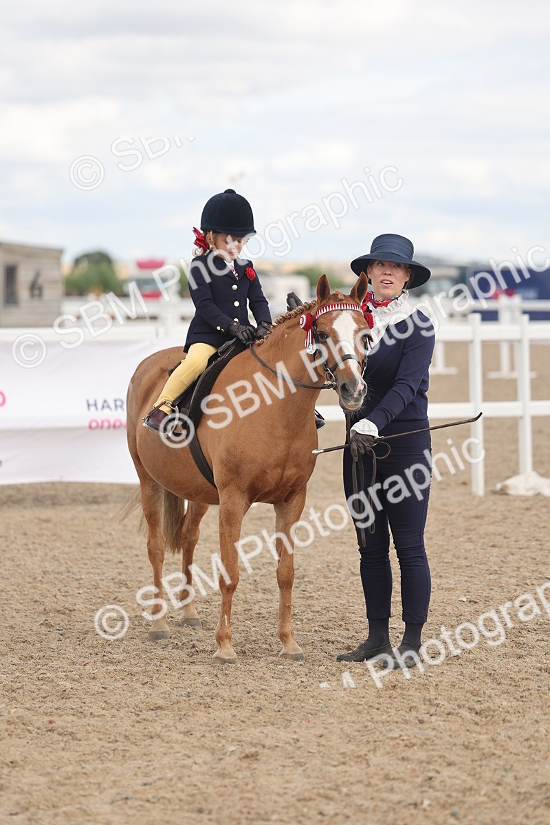 SBM_15809 - Class 309 - Lead Rein Pony