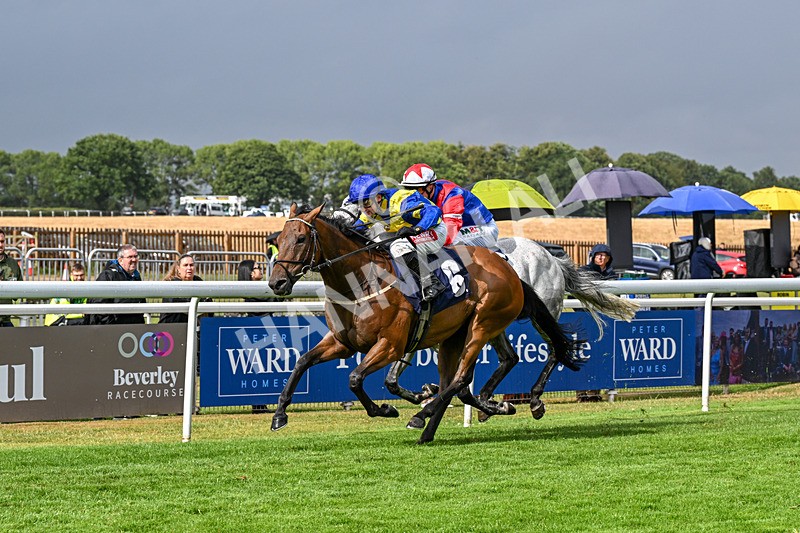 150725-Race 6-Dr Rio-0975 - Race 6