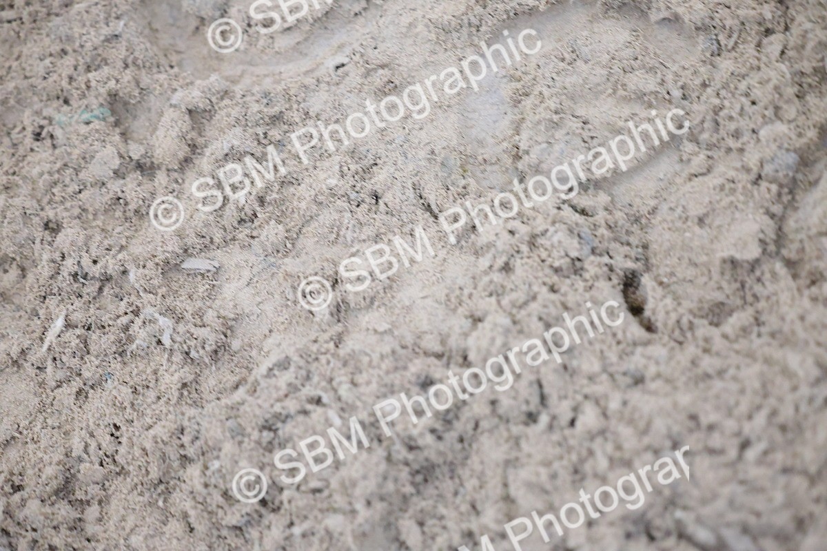 SBM_004224 - Class 11.- National 1.30-1.40m Open